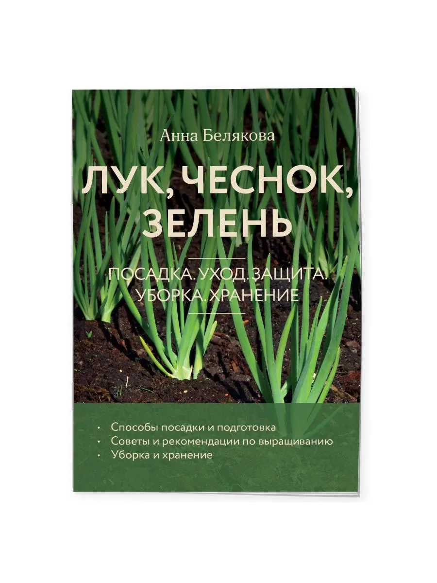 Лук, чеснок, зелень. Посадка. Уход. Защита. Уборка. Хранение