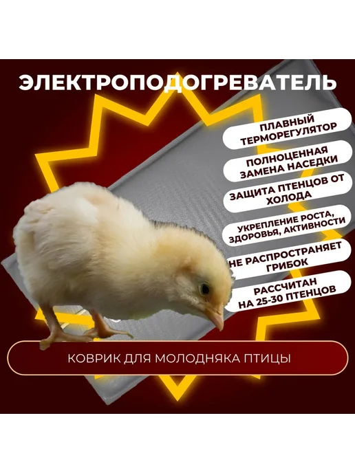 Тепломакс Электроподогреватель для молодняка птицы 50х25 см, вариант, фото 4