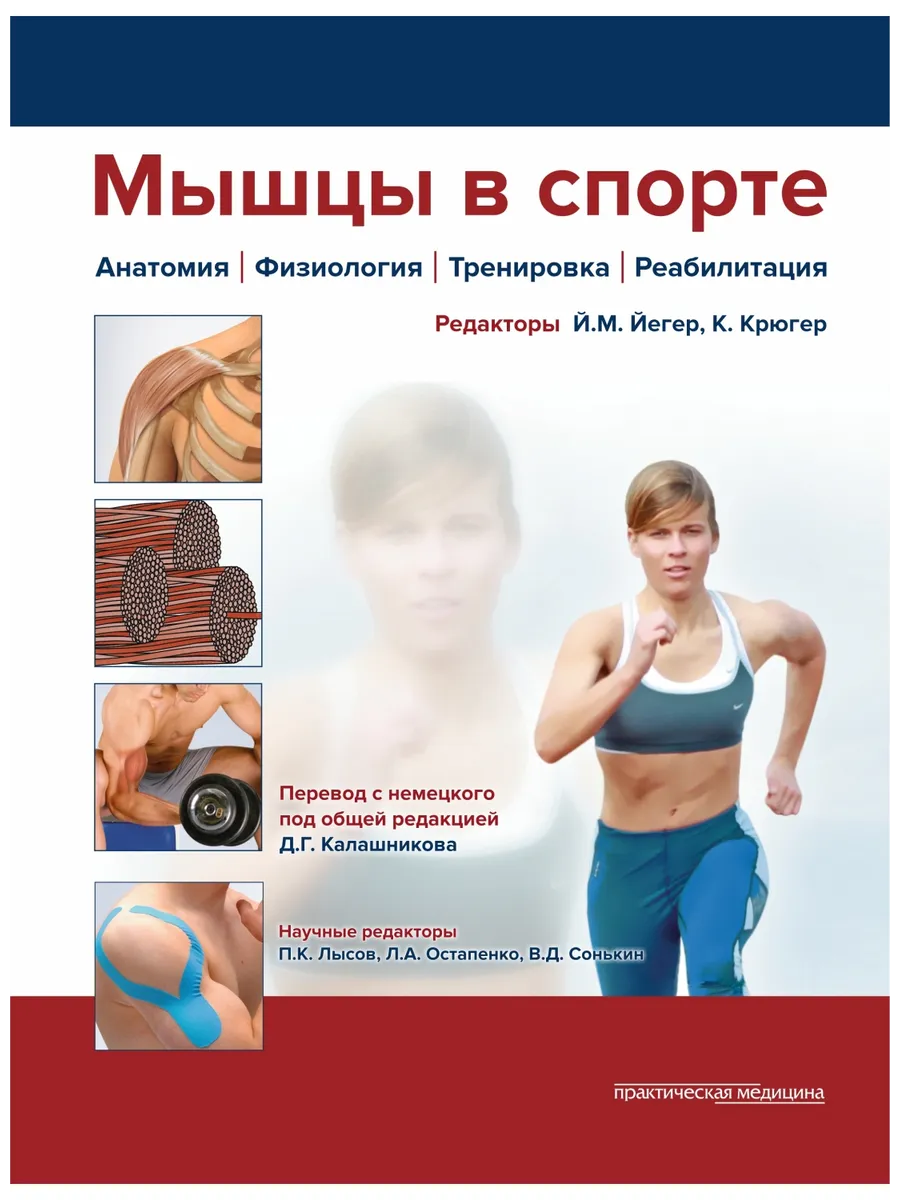 Мышцы в спорте Анатомия Физиология Тренировки Реабилитация