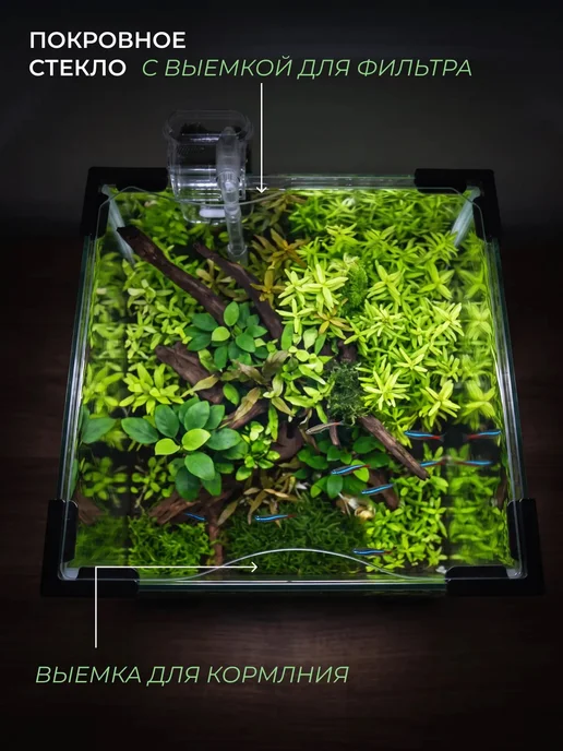 FISH TANK professional Аквариум для петушка Nano куб 13, белый, фото 4