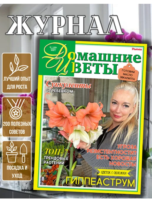 Домашние цветы журнал. Комнатные растения. №1 25.Гиппеаструм уход, вариант
