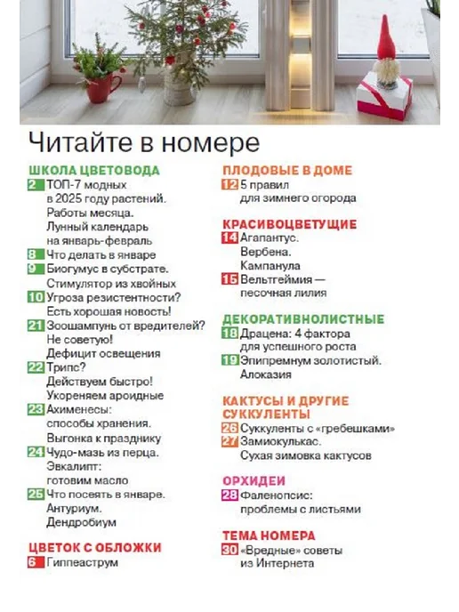 Домашние цветы журнал. Комнатные растения. №1 25.Гиппеаструм уход, вариант, фото 2