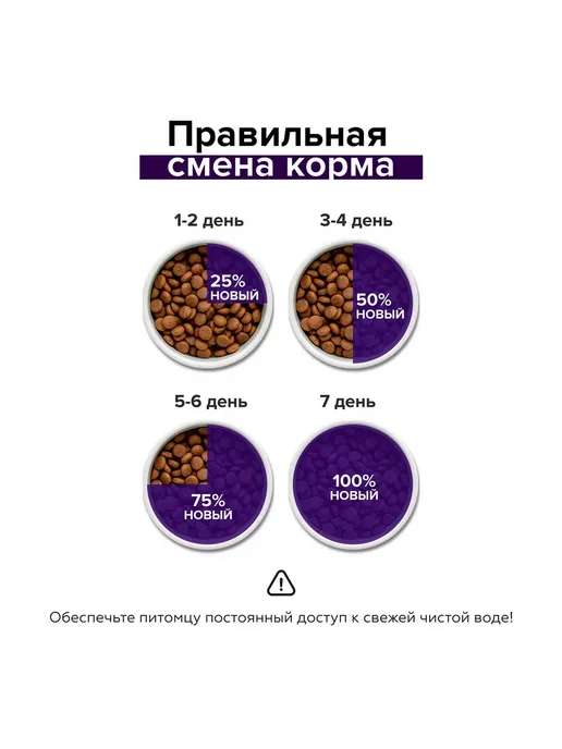 Сухой корм Doctrine Белая для собак, крупные, средние, рыба, 3 кг, фото 6