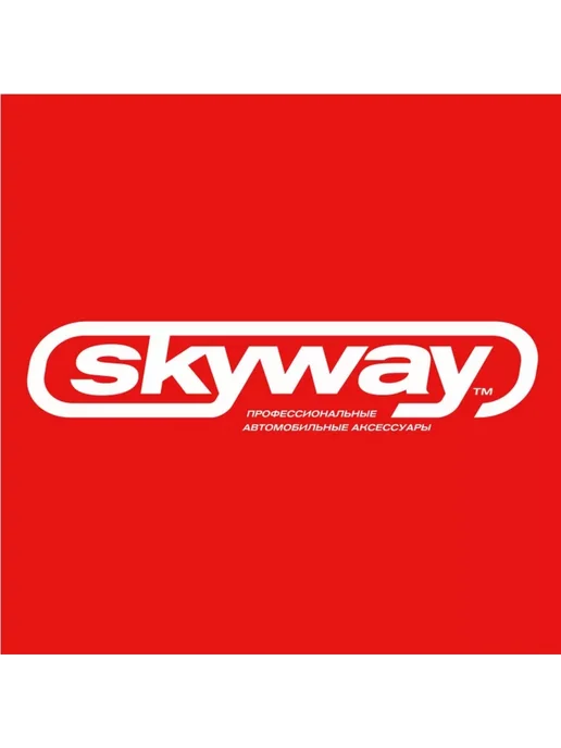 SKYWAY Насос перекачки топлива 12V 38 мм 12 л.мин 08801003, 12 л, фото 2