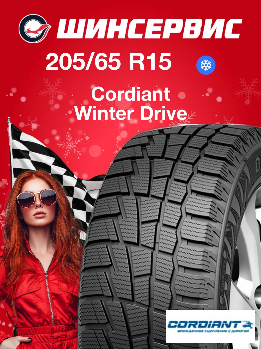Шины зимние 205/65 r15 94T Winter Drive