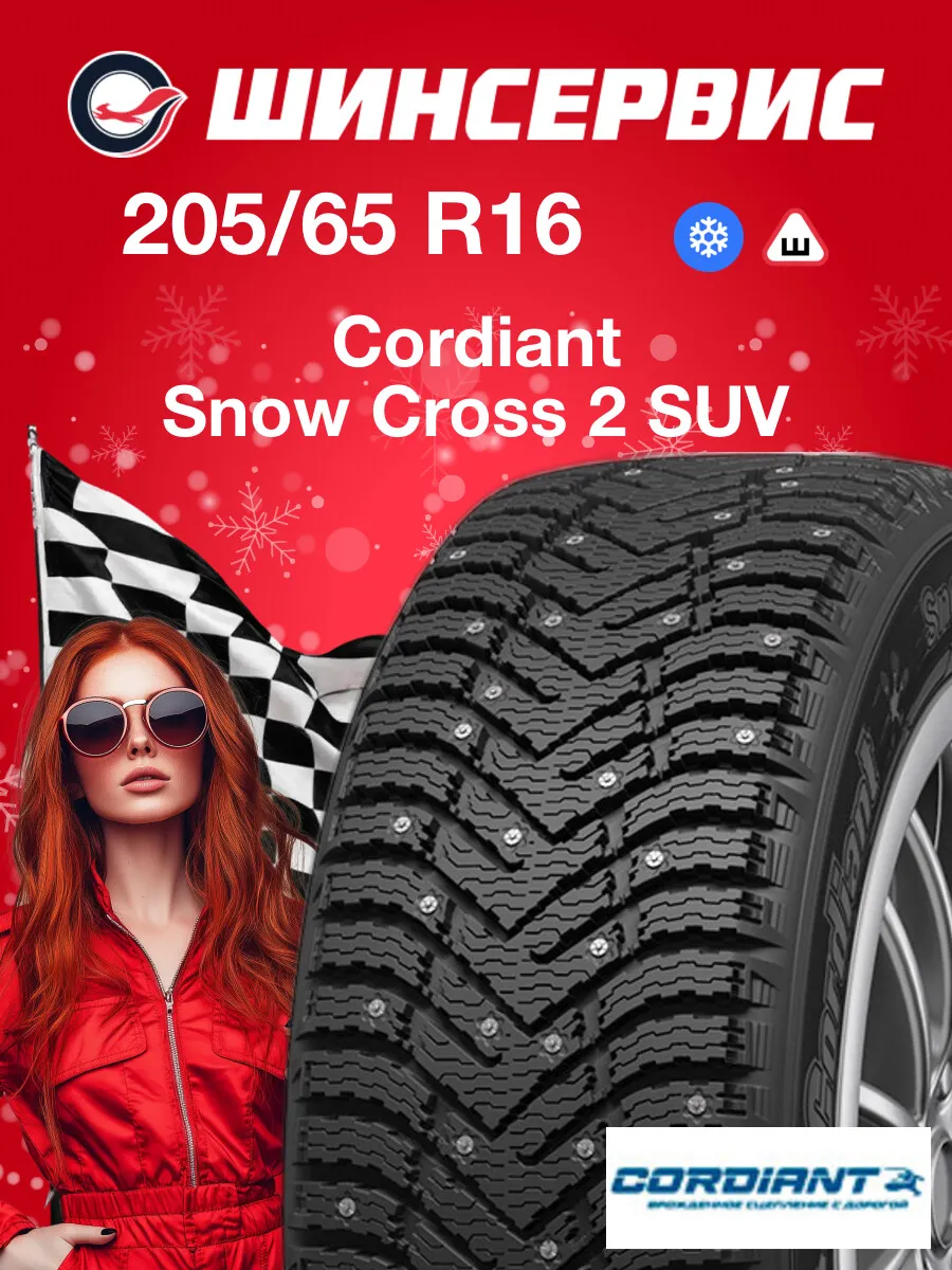 Шины зимние 205/65 r16 99T Snow Cross 2 SUV