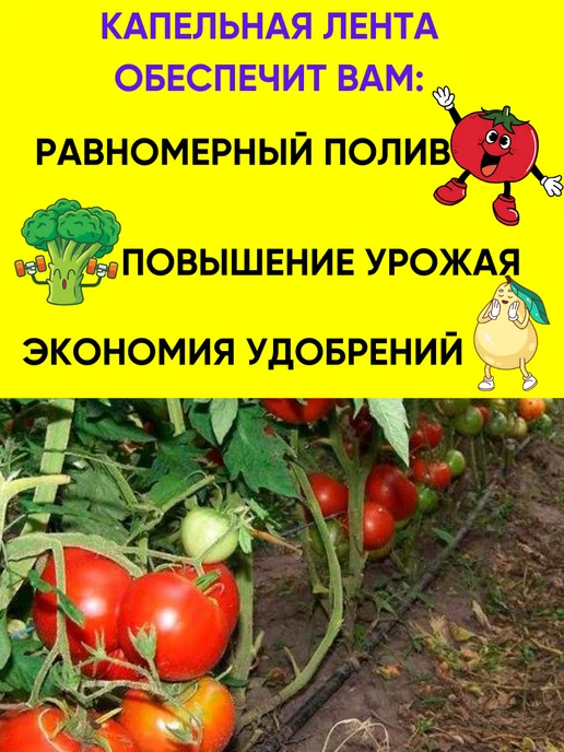 Капельная лента эмиттерная 6Mils 25см 1 6л час 100м, 6 л, 100 м, фото 3