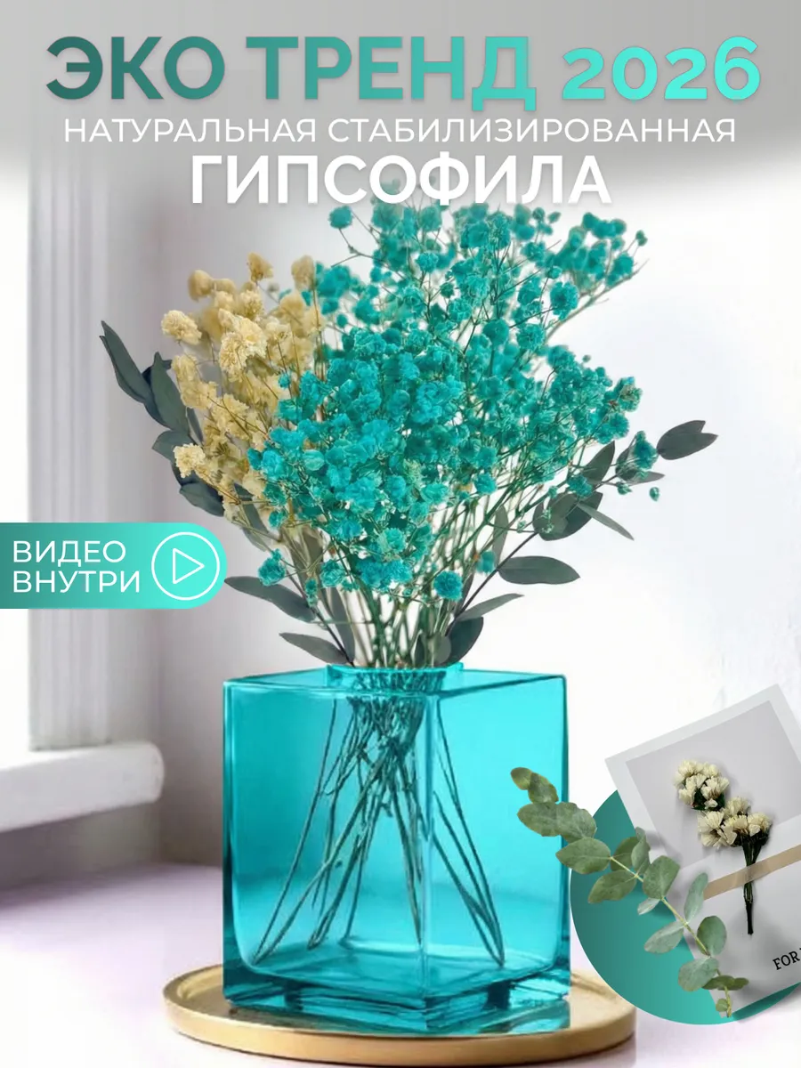 Сухоцветы для декора гипсофила в наборе