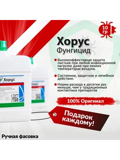 Фунгицид Хорус 10г Pro100Fermer48 313010072 купить за 272 ₽ в интернет‑магазине Wildberries