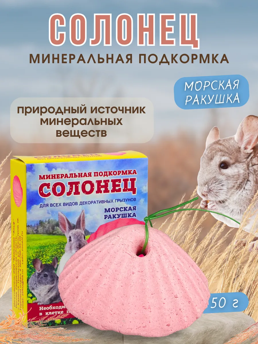 Солонец для грызунов