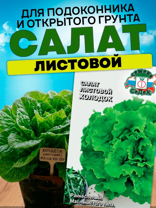 СеДеК Семена салата Холодок листовой на посадку раннеспелый, зеленый, фото 2