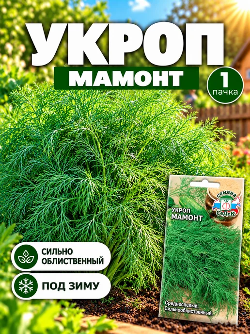 СеДеК Семена укропа Мамонт кустовой на зелень без зонтика, зеленый
