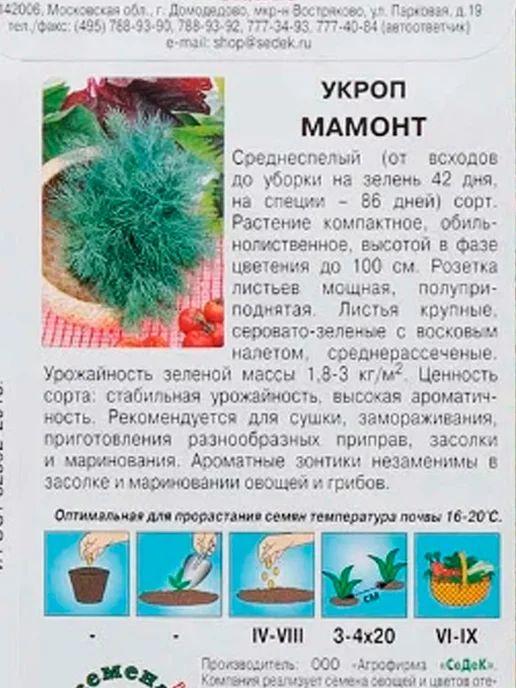 СеДеК Семена укропа Мамонт кустовой на зелень без зонтика, зеленый, фото 3
