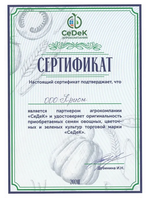 СеДеК Семена укропа Мамонт кустовой на зелень без зонтика, зеленый, фото 7