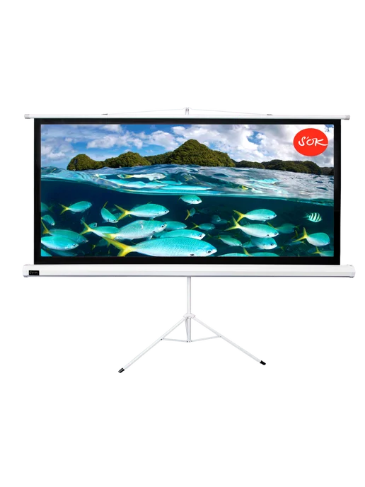 S'OK Экран для проектора 266x150 см 16 9 на штативе 120 дюймов, 266x150 см, фото 2
