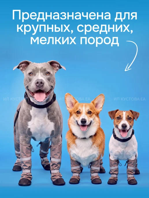 PetorialPlanet Обувь для собак на подтяжках, бежевый, фото 4