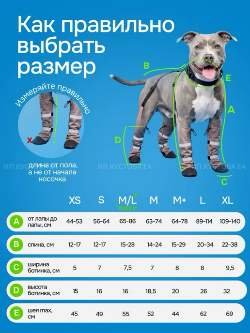 PetorialPlanet Обувь для собак на подтяжках, бежевый, фото 5