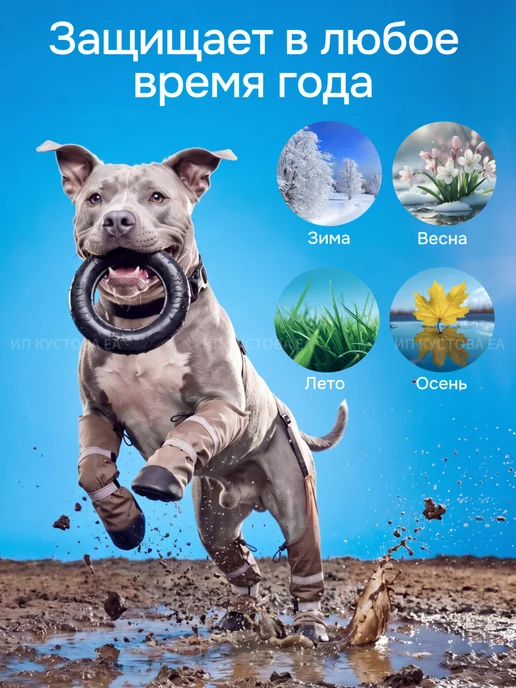 PetorialPlanet Обувь для собак на подтяжках, бежевый, фото 6