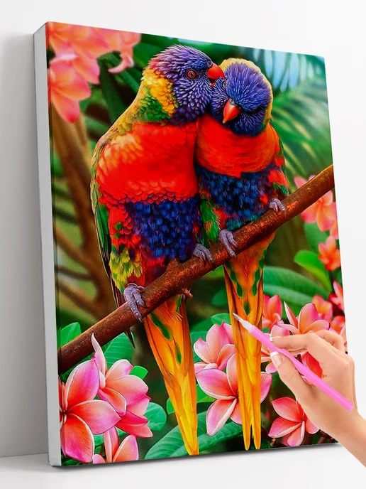 Paintboy Алмазная мозаика на подрамнике 40х50 "Попугаи", 40x50