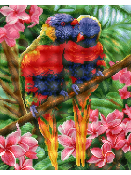Paintboy Алмазная мозаика на подрамнике 40х50 "Попугаи", 40x50, фото 8