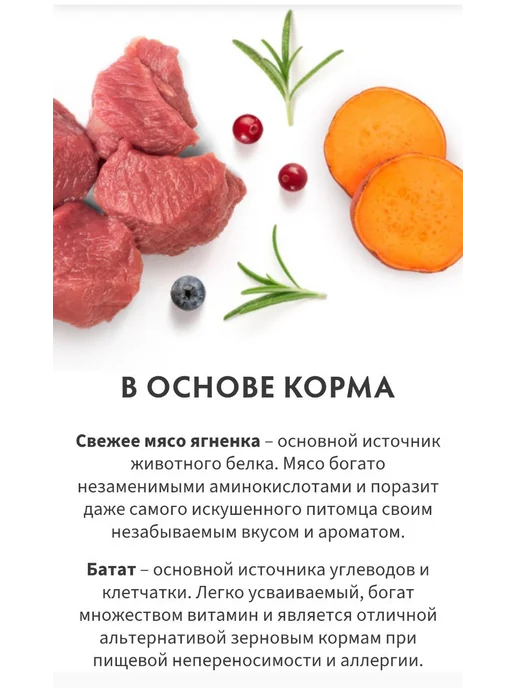 Сухой корм Grandorf' Малых Свежий для собак, ягненок, 1 кг, фото 2