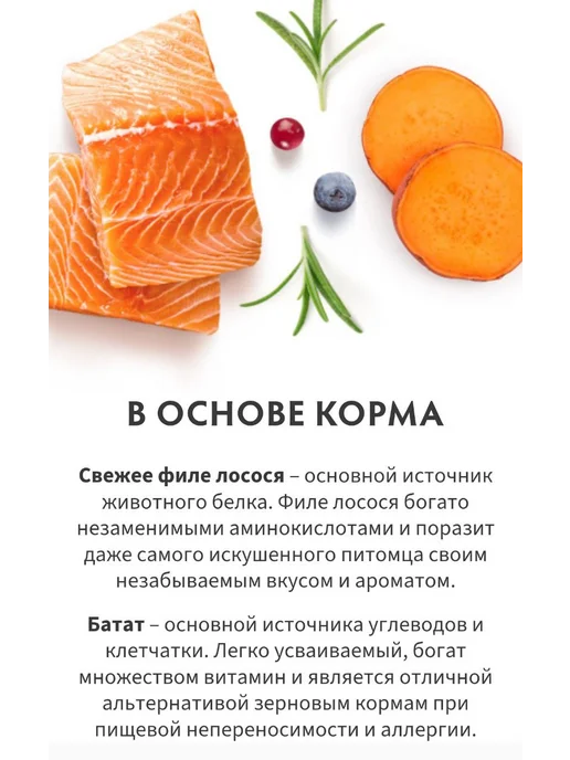 Сухой корм Grandorf' Малых Свежий для собак, лосось, 1 кг, фото 4