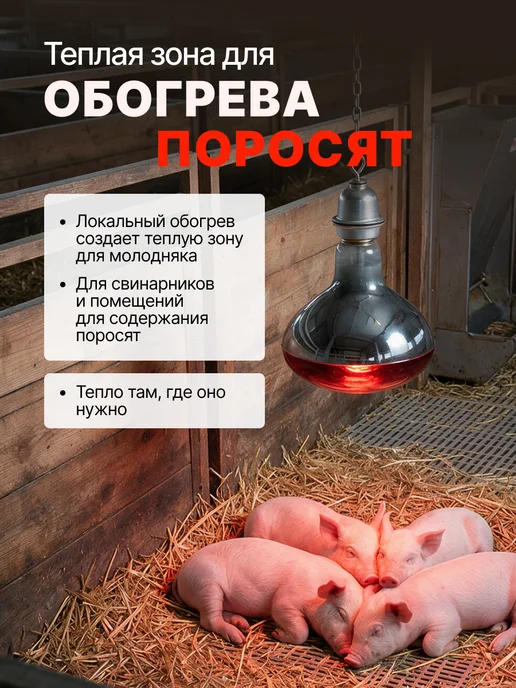 Magic Light Инфракрасная лампа набор 2*250вт, 2x250, фото 4