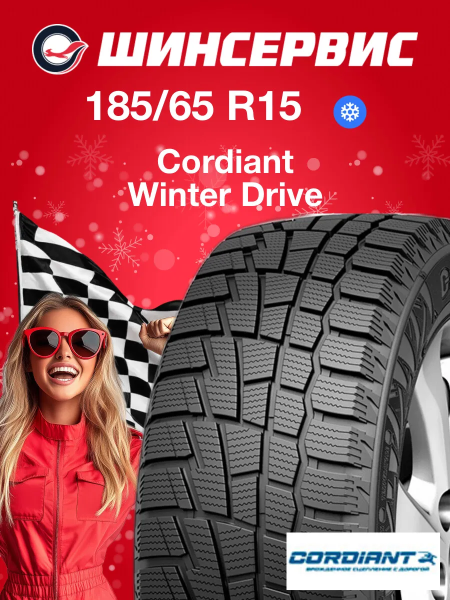 Шины зимние 185/65 r15 92T Winter Drive