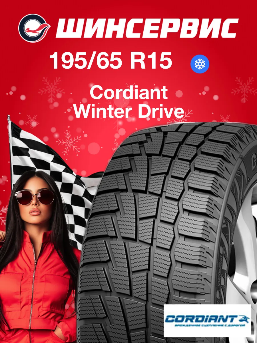 Шины зимние 195 65 r15 91T Winter Drive