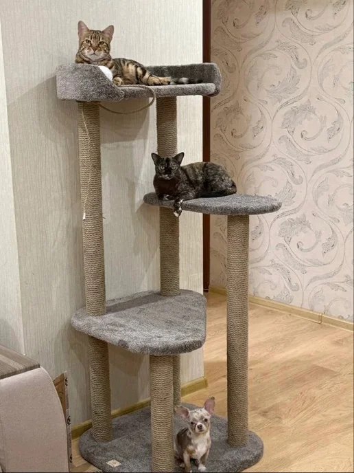 Моя Котя Домик для кошки, фиолетовый, фото 4