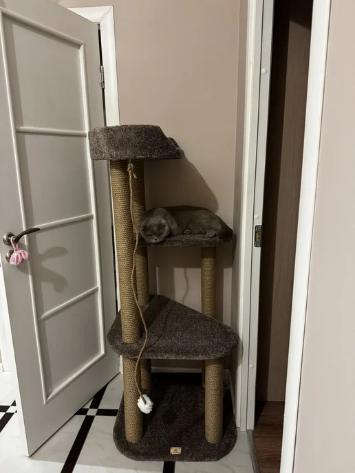 Моя Котя Домик для кошки, фиолетовый, фото 8