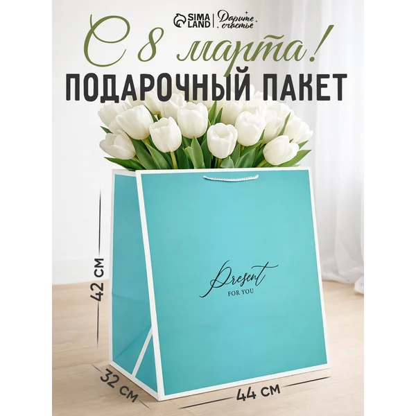 Большой подарочный пакет для упаковки подарка