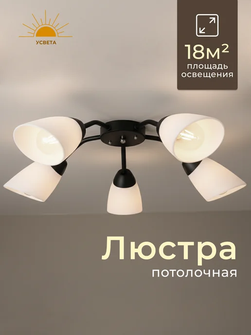 УСВЕТА Люстра потолочная для кухни 5 плафонов черная Е27, черный