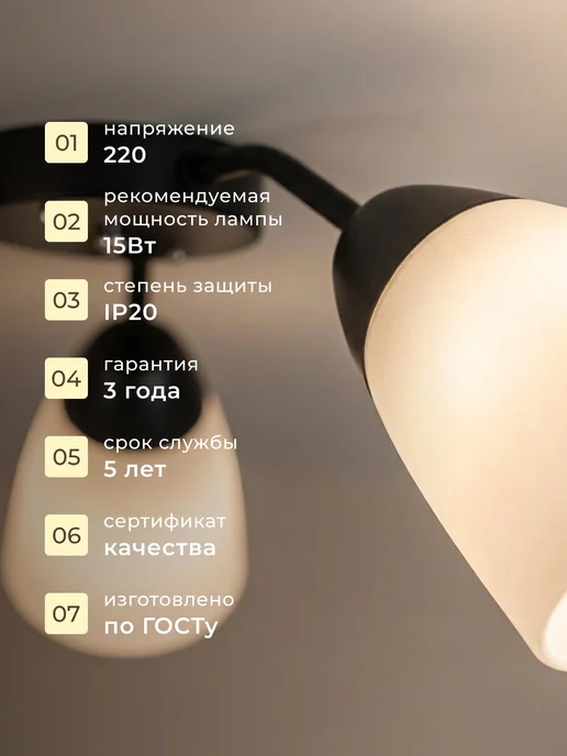 УСВЕТА Потолочная люстра для гостиной с цоколем Е27, черный, фото 4