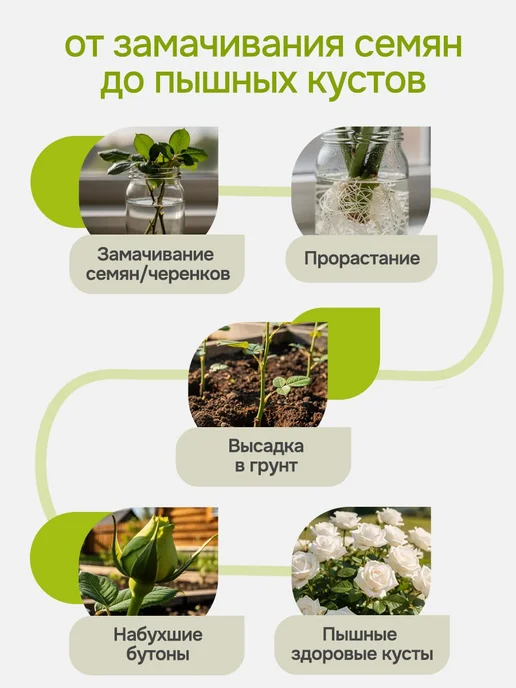 Arpebio Удобрения для роз комнатных и садовых лето-осень 500 мл, 500 мл, фото 3