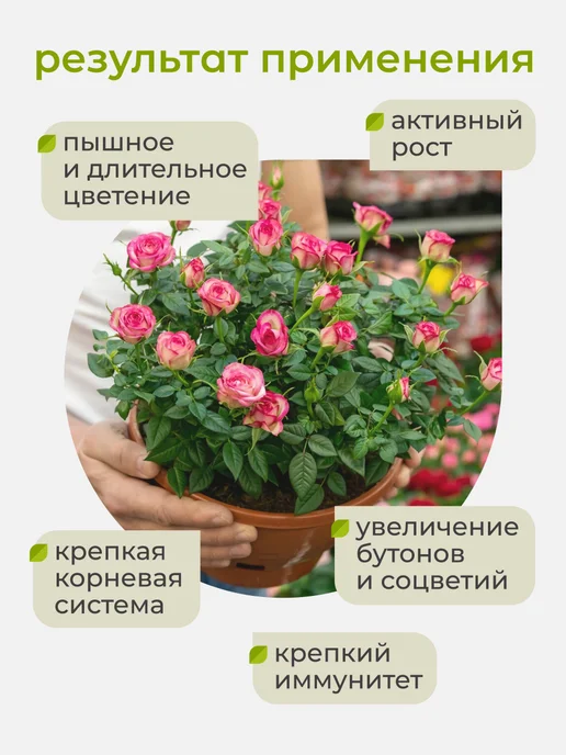 Arpebio Удобрения для роз комнатных и садовых лето-осень 500 мл, 500 мл, фото 6