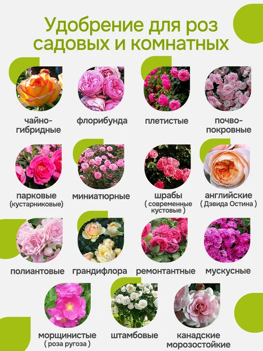 Arpebio Удобрения для роз комнатных и садовых лето-осень 500 мл, 500 мл, фото 8