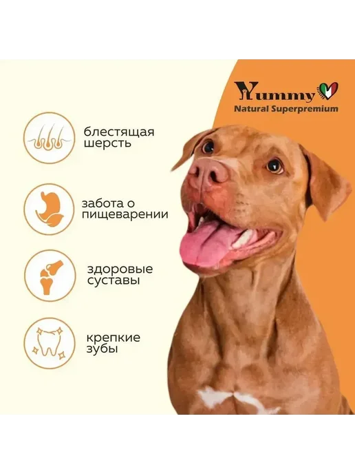 Сухой корм Yummy Linea Малых для собак, мелкие, щенки, индейка, 2,5 кг, фото 4