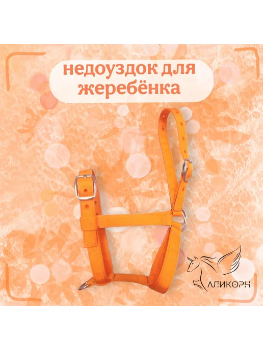 Недоуздок для жеребёнка, оранжевый