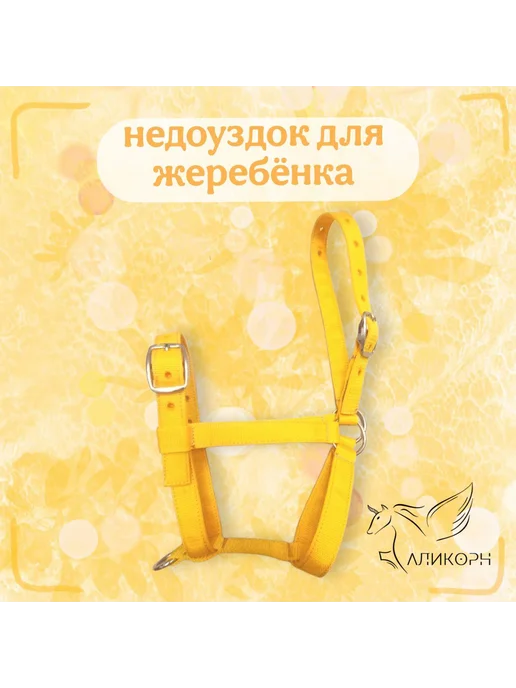 Недоуздок для жеребёнка, желтый