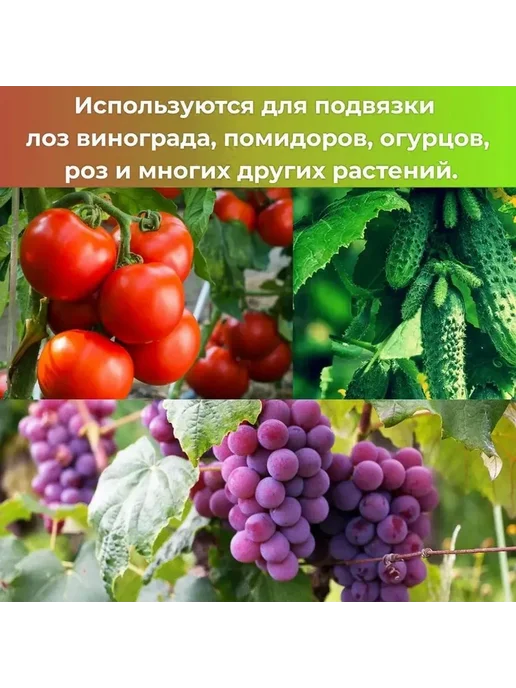 Anytrends Зажимы для фиксации стеблей растений (50 шт, чёрный), 50 шт, фото 4