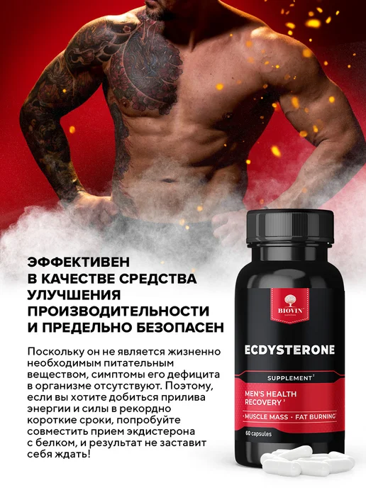 BIOVIN Экдистерон 60 капсул, бустер тестостерона, вариант, фото 2