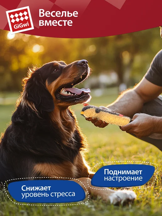 Gigwi Игрушка для собак Белка с пищалкой 46 см, бежевый, фото 4