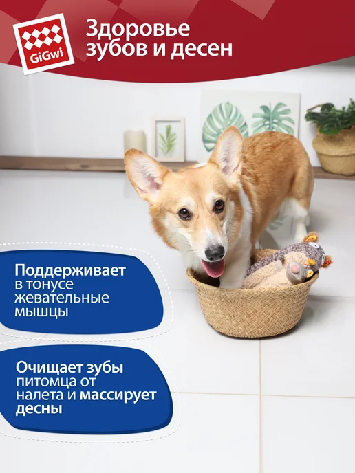 Gigwi Игрушка для собак Белка с пищалкой 46 см, бежевый, фото 5