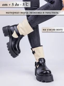 Демисезонные сапоги на каблуке