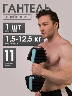 Гантель Разборная Многоуровневая, 12,5кг MAXISCOO FIT 314348222 купить за 9 009 ₽ в интернет-магазине Wildberries
