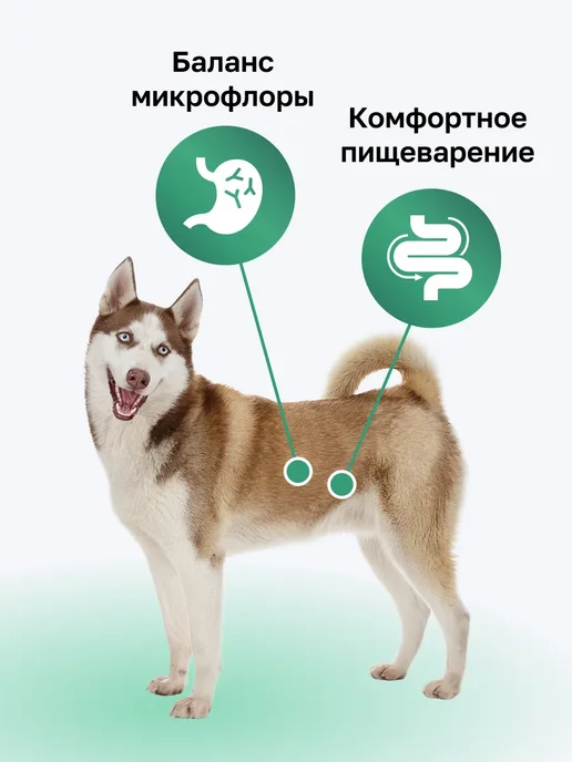 Сухой корм Organix Фруктами для собак, лосось, 0,8 кг, фото 2