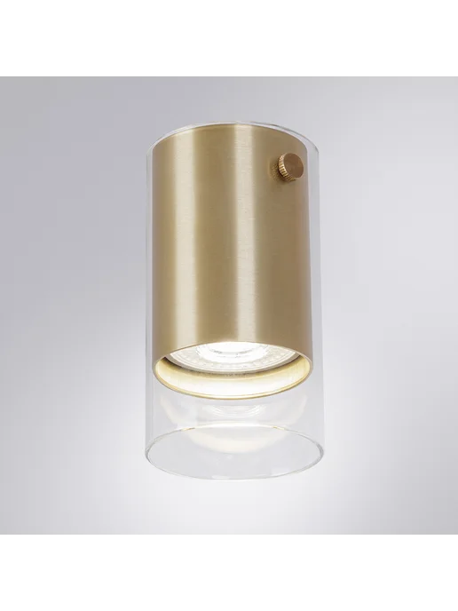 Arte Lamp Точечный накладной светильник LAZIO A5365PL-1SG, белый, фото 4