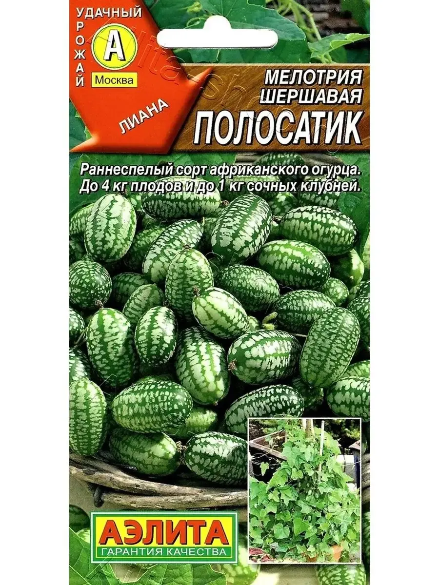 Семена лесландия арбузный
