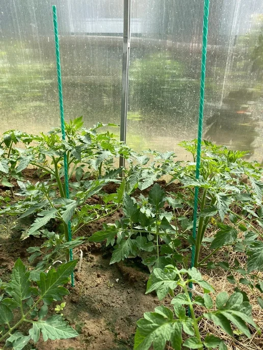 Колышки садовые для подвязки растений томатов, зеленый, в упаковке 1,5 кг, фото 7